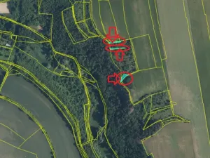 Prodej lesa, Kralupy nad Vltavou, 559 m2