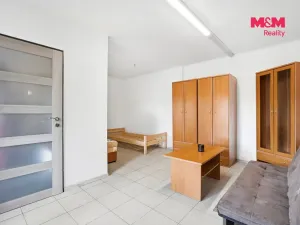 Prodej obchodního prostoru, Děčín - Děčín I-Děčín, Krokova, 293 m2