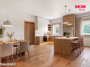 Prodej obchodního prostoru, Děčín - Děčín I-Děčín, Krokova, 293 m2