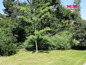 Pronájem bytu 2+1, Praha - Strašnice, Na Třebešíně, 88 m2