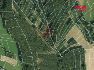 Prodej lesa, Luže - Doly, 4481 m2