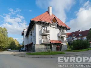 Pronájem bytu 1+kk, Harrachov - Nový Svět, 29 m2