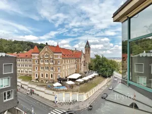 Pronájem bytu 2+1, Praha - Smíchov, Holečkova, 99 m2