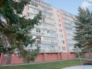 Prodej bytu 4+1, Litvínov - Janov, Luční, 80 m2