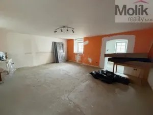 Prodej rodinného domu, Terezín - České Kopisty, 1041 m2