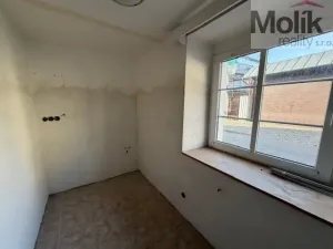Prodej rodinného domu, Terezín - České Kopisty, 1041 m2