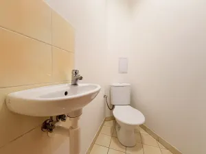 Pronájem bytu 3+1, Plzeň, Goethova, 125 m2