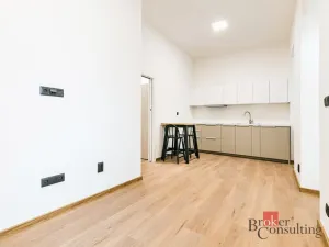 Pronájem bytu 1+kk, Brno - Zábrdovice, Bratislavská, 28 m2