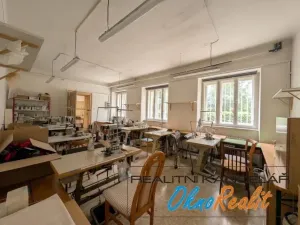 Prodej rodinného domu, Přerov - Přerov XIII-Penčice, Lipňanská, 398 m2