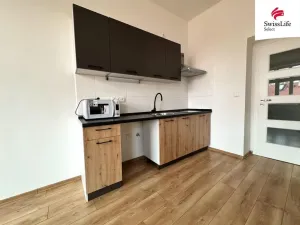 Pronájem bytu 1+1, Chomutov, Klostermannova, 41 m2