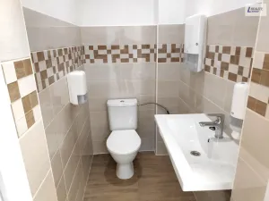 Pronájem obchodního prostoru, Příbram - Příbram I, Plzeňská, 246 m2