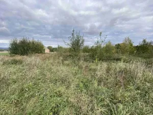 Prodej pozemku, Javorník - Horní Hoštice, 1651 m2