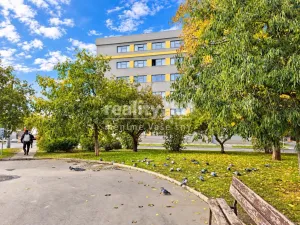 Prodej bytu 3+1, Praha - Žižkov, Biskupcova, 74 m2