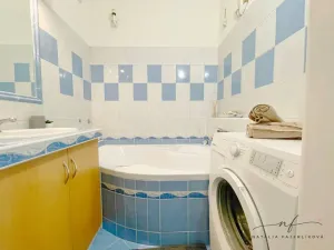 Pronájem bytu 2+1, Ostrov, S. K. Neumanna, 64 m2
