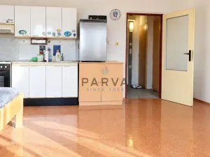 Pronájem bytu 1+kk, Plzeň - Severní Předměstí, Brněnská, 33 m2