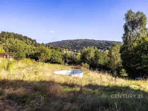 Prodej pozemku pro bydlení, Dolní Poustevna, 5065 m2