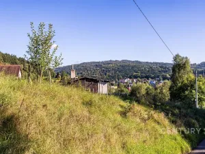 Prodej pozemku pro bydlení, Dolní Poustevna, 5065 m2