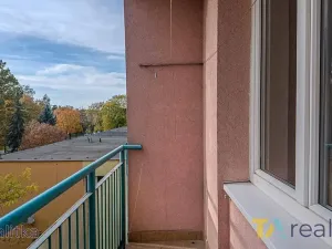 Prodej bytu 1+1, Havířov, Kosmonautů, 36 m2