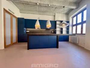 Pronájem bytu 3+kk, Brno, Peroutková, 77 m2