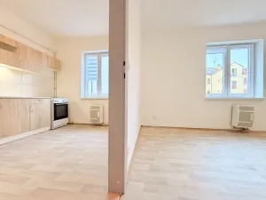 Pronájem bytu 1+1, Plzeň, Sladkovského, 37 m2