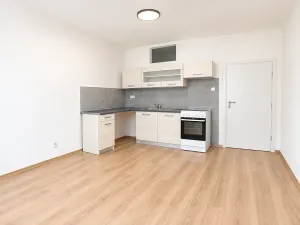 Prodej bytu 1+1, Brno, 52 m2