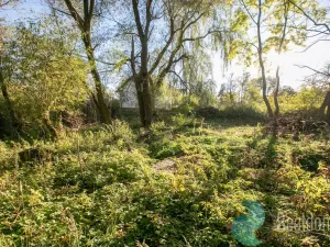Prodej zemědělské usedlosti, Miličín - Nové Dvory, 121 m2