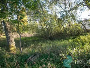 Prodej zemědělské usedlosti, Miličín - Nové Dvory, 121 m2