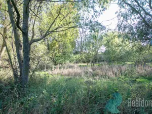 Prodej zemědělské usedlosti, Miličín - Nové Dvory, 121 m2