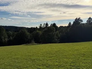 Prodej louky, Háje nad Jizerou, 3927 m2