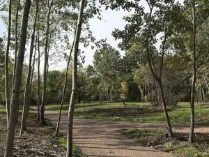 Prodej bytu 2+kk, Brno, Mírová, 56 m2