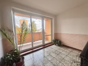 Prodej bytu 3+1, Litovel, Novosady, 71 m2