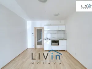 Pronájem bytu 1+kk, Olomouc, Rokycanova, 43 m2