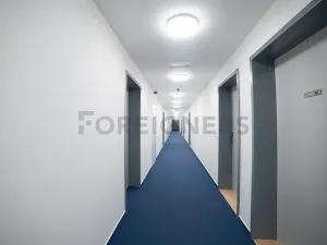 Pronájem bytu 1+kk, Olomouc, Edmunda Husserla, 29 m2