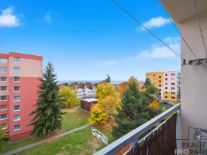 Prodej bytu 2+1, Chotěboř, Břevnická, 54 m2