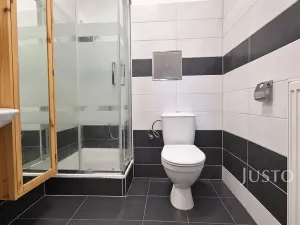 Prodej bytu 2+kk, Písek, Pražská, 72 m2