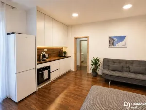 Pronájem bytu 1+kk, Olomouc, Andělská, 35 m2