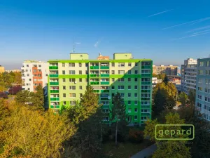Prodej bytu 3+1, Praha - Chodov, Bachova, 72 m2