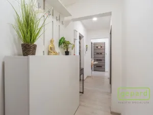 Prodej bytu 3+1, Praha - Chodov, Bachova, 72 m2