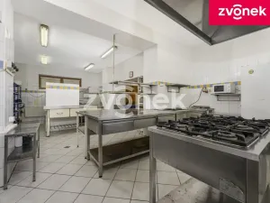 Prodej vícegeneračního domu, Horní Bečva, 1086 m2