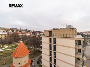 Pronájem bytu 2+kk, Praha - Břevnov, Radimova, 65 m2