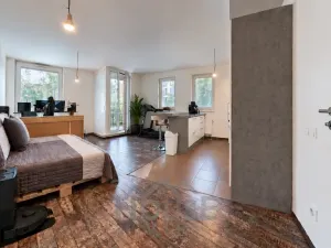 Prodej bytu 2+kk, Praha - Žižkov, Olgy Havlové, 66 m2