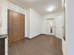 Prodej bytu 2+kk, Praha - Žižkov, Olgy Havlové, 66 m2