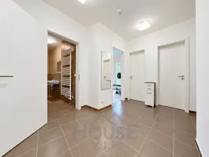 Prodej bytu 2+kk, Praha - Žižkov, Olgy Havlové, 66 m2