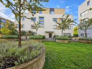 Prodej bytu 2+kk, Praha - Žižkov, Olgy Havlové, 66 m2