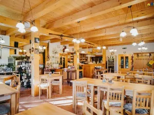 Prodej ubytování, Deštné v Orlických horách, 751 m2