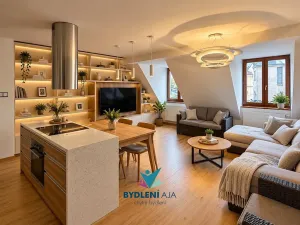 Prodej domu, Teplice, Laubeho náměstí, 425 m2