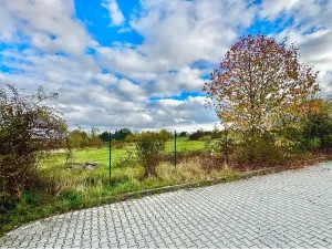 Prodej komerčního pozemku, Tachlovice, 6000 m2