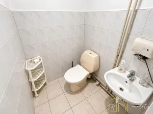 Prodej rodinného domu, Novosedlice, Míru, 200 m2
