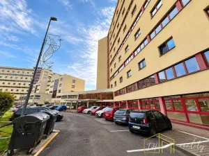 Prodej bytu 1+1, Litvínov - Horní Litvínov, Koldům, 49 m2