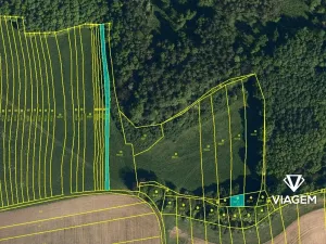 Prodej pole, Choryně, 531 m2